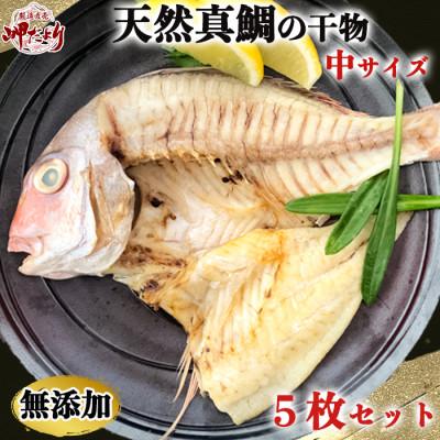 ふるさと納税 南知多町 岬だよりの[人気沸騰中]天然真鯛の干物 中サイズ5枚セット