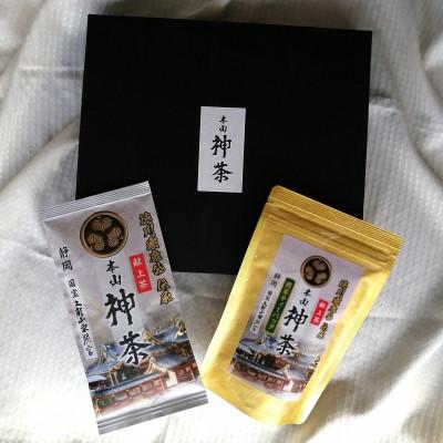 ふるさと納税 静岡市 「本山神茶」煎茶100g+煎茶ティーバッグ 75g(5g×15個)詰合せ