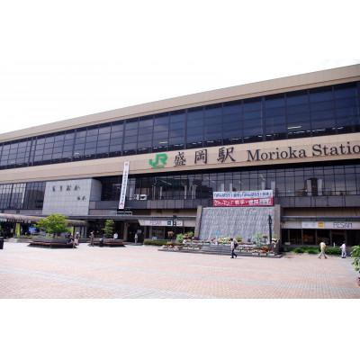 ふるさと納税 盛岡市 おでんせ盛岡旅行割引クーポン30,000円分 東杜観光株式会社