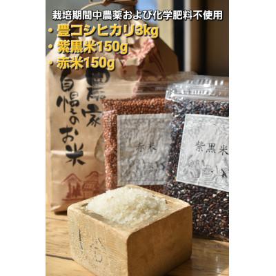 ふるさと納税 武豊町 お米セット