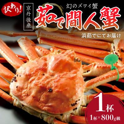 ふるさと納税 京丹後市 ブランド蟹 訳あり!幻のズワイ蟹 京丹後産 茹で間人(たいざ)蟹 釜茹で!800g級 足1本落ち1杯