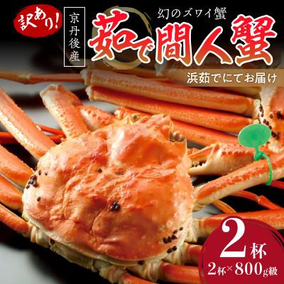 ふるさと納税 京丹後市 ブランド蟹 訳あり!幻のズワイ蟹 京丹後産 茹で間人(たいざ)蟹 釜茹で!800g級 足1本落ち2杯