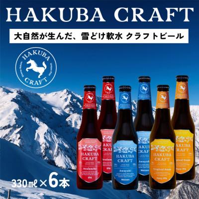 ふるさと納税 白馬村 HAKUBA CRAFT 晩酌を贅沢にするクラフトビール 3種6本セット
