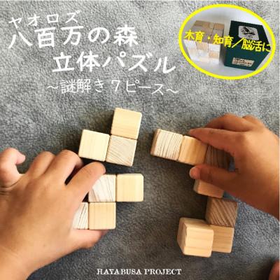 ふるさと納税 八百津町 [ハヤブサプロジェクト] 八百万 (ヤオロズ)の森 立体パズル 謎解き7ピース