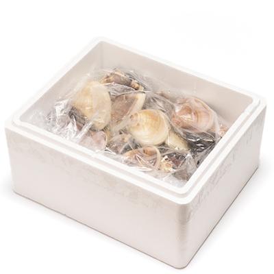 ふるさと納税 いすみ市 (( 訳あり ))　天然活はまぐり約1.5kg |  | 03