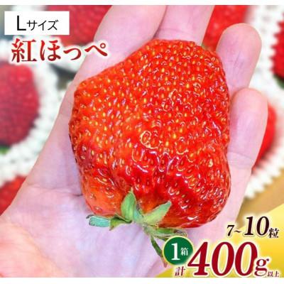 ふるさと納税 西尾市 Lサイズいちご(紅ほっぺ) 400g以上(7〜10粒)×1箱・O036-13