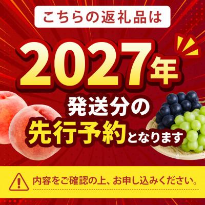 ふるさと納税 山梨市 【2027年発送先行受付】市場にほぼ出回らない浅間