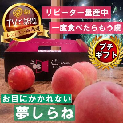ふるさと納税 山梨市 2027年発送先行受付【滅多にお目にかかれない夢