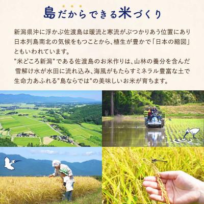 ふるさと納税 佐渡市 佐渡島産ミルキークイーン 無洗米10Kg(5Kg×2袋) 令和7年産 特別栽培米_2