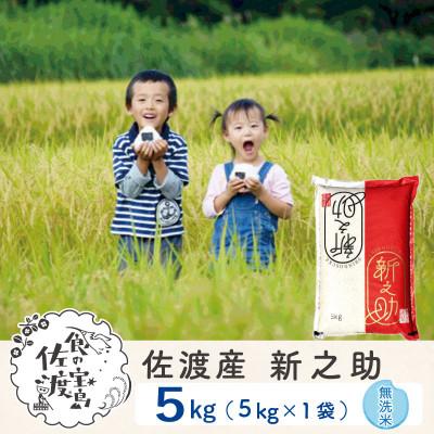 ふるさと納税 佐渡市 佐渡島産新之助 無洗米5Kg 令和7年産[食の宝島佐渡]
