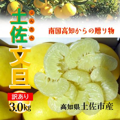 ふるさと納税 土佐市 『南国高知からの贈り物』土佐文旦 [訳あり(家庭用)]3kg