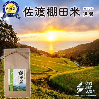 ふるさと納税 佐渡市 佐渡島産コシヒカリ 達者棚田米 白米4Kg(2Kg×2袋)[令和7年産]