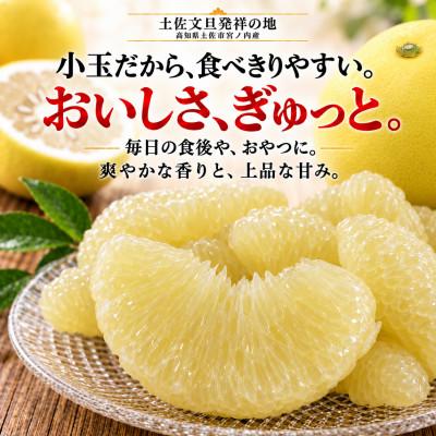 ふるさと納税 土佐市 【日本ギフト大賞受賞・先行予約】園主こだわり土佐文旦 小玉3kg 家庭用 高知県土佐市産 やの一果彩 |  | 01