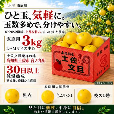 ふるさと納税 土佐市 【日本ギフト大賞受賞・先行予約】園主こだわり土佐文旦 小玉3kg 家庭用 高知県土佐市産 やの一果彩 |  | 02