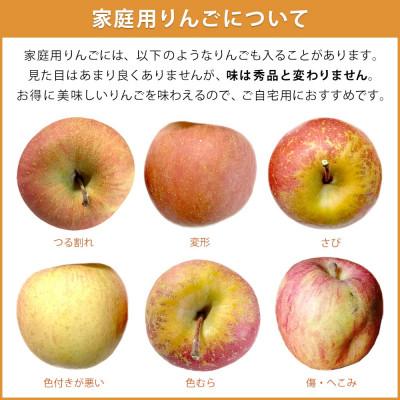 ふるさと納税 飯綱町 【2026年10月中旬より順次発送】訳あり