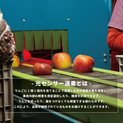 ふるさと納税 飯綱町 【2026年10月中旬より順次発送】訳あり