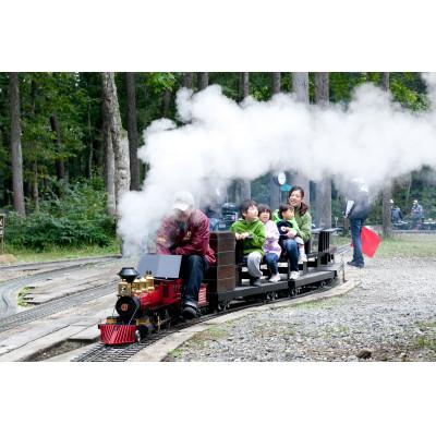 ふるさと納税 白馬村 白馬ミニトレインパーク利用券 5000円分