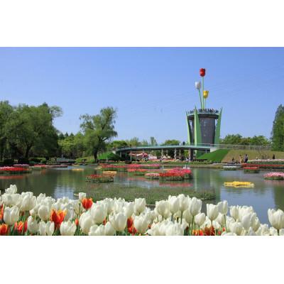 ふるさと納税 砺波市 【まると牛乳】　富山県砺波市から瓶製品　牛乳・珈琲　お届け |  | 02
