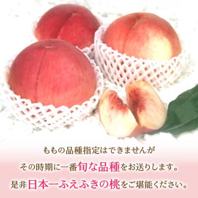 ふるさと納税 笛吹市 【2025年先行受付】訳あり桃 約3kg(7〜12玉)の画像