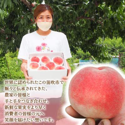 ふるさと納税 笛吹市 【2025年先行受付】訳あり桃 約3kg(7〜12玉)の画像
