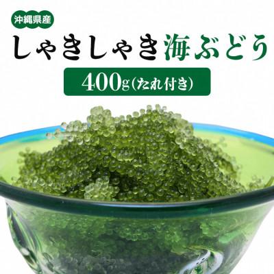 ふるさと納税 糸満市 朝採れ!しゃきしゃき海ぶどう(茎付き)400g