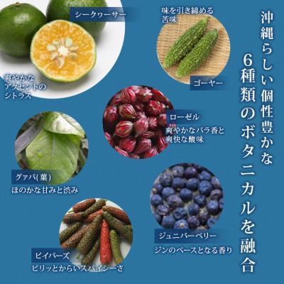 ふるさと納税 糸満市 沖縄のクラフトジン「まさひろオキナワジン　レシピ01」 47度 700ml×2本 |  | 02
