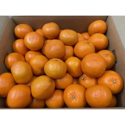 ふるさと納税 坂出市 はれひめ 約5kg