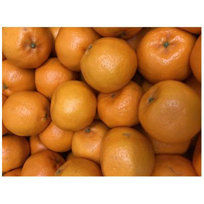 ふるさと納税 坂出市 [先行受付2027年]坂出市産 ぽんかん 約5kg