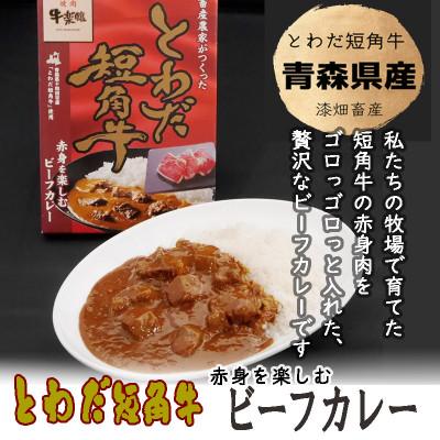 ふるさと納税 十和田市 とわだ短角牛 ビーフカレー 青森県産 短角牛100%使用 210g 4食