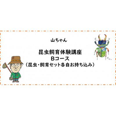 ふるさと納税 南山城村 [幼児〜小学生対象]昆虫飼育体験講座Bコース(昆虫・飼育セット各自お持ち込み)