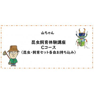 ふるさと納税 南山城村 [幼児〜小学生対象]昆虫飼育体験講座Cコース(昆虫・飼育セット各自お持ち込み)