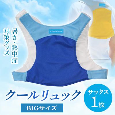 ふるさと納税 坂出市 暑さ・熱中症対策グッズ クールリュック1枚 BIGサイズ サックス