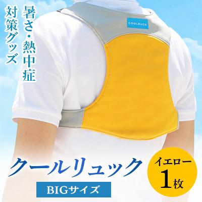 ふるさと納税 坂出市 暑さ・熱中症対策グッズ クールリュック1枚 BIGサイズ イエロー