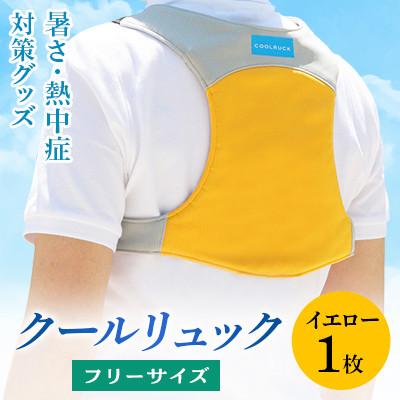 ふるさと納税 坂出市 暑さ・熱中症対策グッズ クールリュック1枚 フリーサイズ イエロー