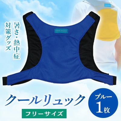 ふるさと納税 坂出市 暑さ・熱中症対策グッズ クールリュック1枚 フリーサイズ ブルー