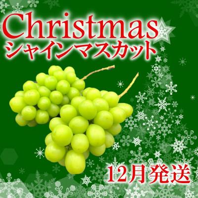 ふるさと納税 笛吹市 冬季限定!!山梨県笛吹市産 クリスマスシャインマスカット 約1kg 2〜3房