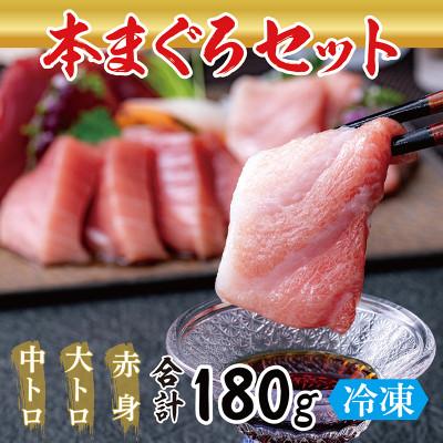 ふるさと納税 越前市 国産の本マグロ 大トロ・中トロ・赤身合計約180g(約50g/約70g/約70g)