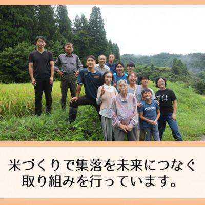 ふるさと納税 十日町市 【先行予約・令和8年産】新潟県魚沼産コシヒカリ「山清水米」玄米10kg_1