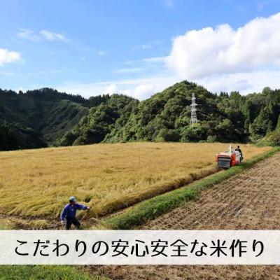 ふるさと納税 十日町市 【先行予約・令和8年産】新潟県魚沼産コシヒカリ「山清水米」玄米10kg_3