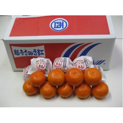 ふるさと納税 坂出市 [先行受付2027年]越冬完熟みかん(小原紅早生) 約3kg