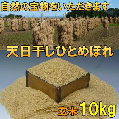 ふるさと納税 奥州市 新米 天日干し ひとめぼれ 玄米 10kg 岩手県奥州市 令和7年産米 10キロ [AC049]