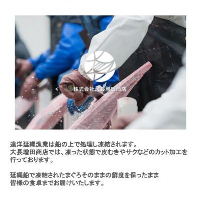 ふるさと納税 吉田町 天然まぐろ赤身サク1.2kg業務用 |  | 03