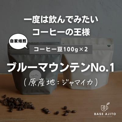 ふるさと納税 丹波篠山市 ジャマイカ ブルーマウンテンNo.1 100g×2(粉)