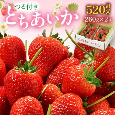 ふるさと納税 鹿沼市 つる付きとちあいか260g×2パック(1月中旬〜1月下旬発送)