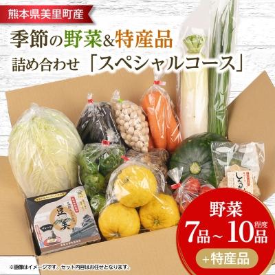 ふるさと納税 美里町 季節の野菜 詰め合わせ「スペシャルコース