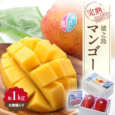 ふるさと納税 伊仙町 [先行予約!2026年7月より順次発送] 清水果樹園 マンゴー 約1kg(化粧箱入り)