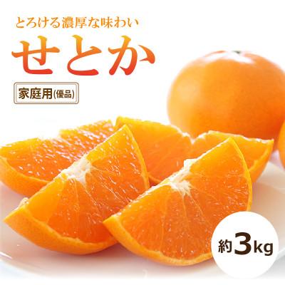 ふるさと納税 松山市 [2026年2月中旬頃から発送予定]せとか &lt;家庭用・優品&gt; 約3kg