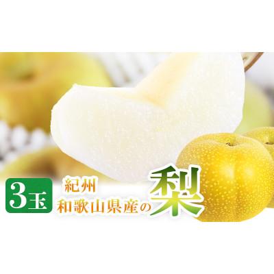 ふるさと納税 広川町 紀州和歌山産の梨 3玉 化粧箱入