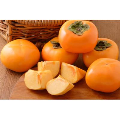 ふるさと納税 九度山町 [本場/2026年10月上旬以降発送]九度山町産 平核無柿[贈答用/赤秀]8〜13玉