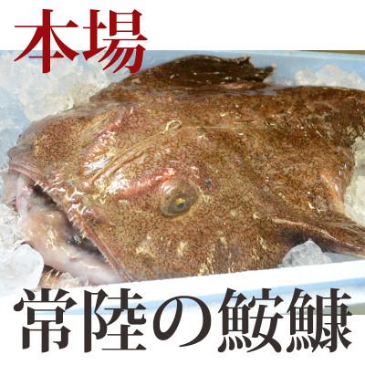 ふるさと納税 茨城県 【2026年12月発送】常陸名物　あんこう鍋セット(3〜4人前) |  | 02